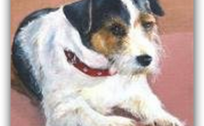Acrylbilder