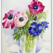 Anemonen bunt