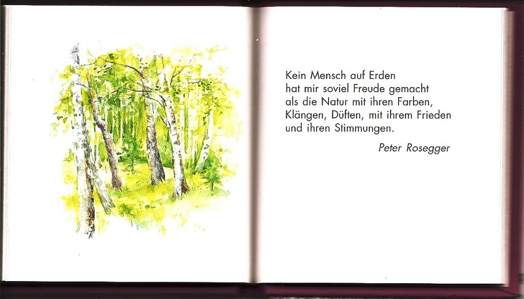 Kleine Freude an schönen Dingen Leseprobe 2